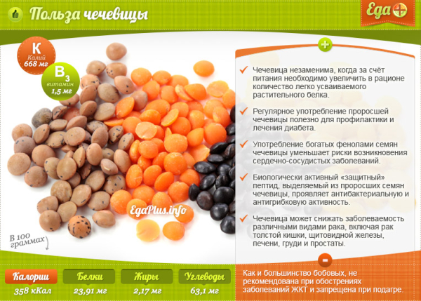 Чечевица для здоровья мужчин &mdash; польза и вред для организма