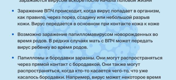 Передается ли вирус папилломы человека половым путем?