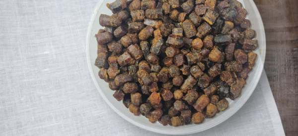 Пчелиная перга: польза, вред, способы применения