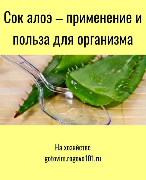 Сок алоэ от папиллом: особенности применения и противопоказания