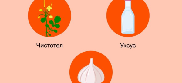 Лечение бородавок на руках народными средствами