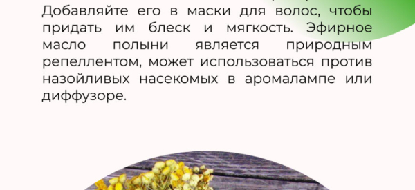 Полынь от бородавок: рецепты, применение, отзывы