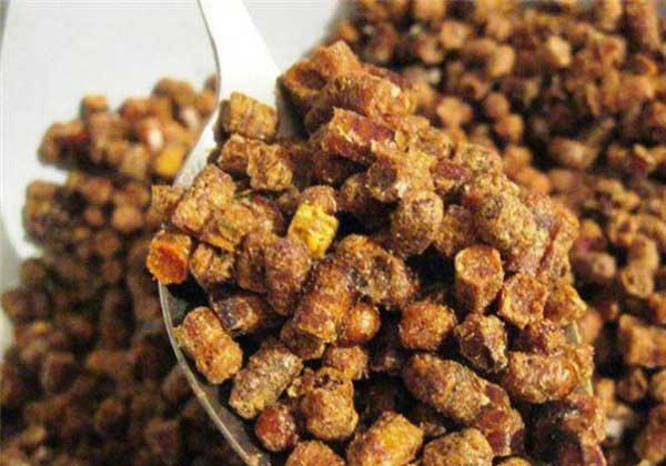 Пчелиная перга: польза, вред, способы применения