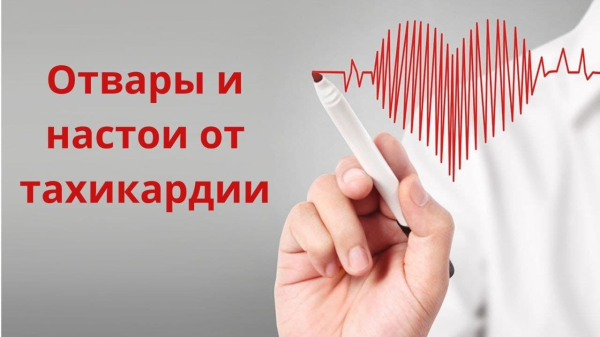 Тахикардия: лечение народными средствами