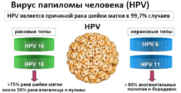 Папилломы на теле: причины появления и способы лечения