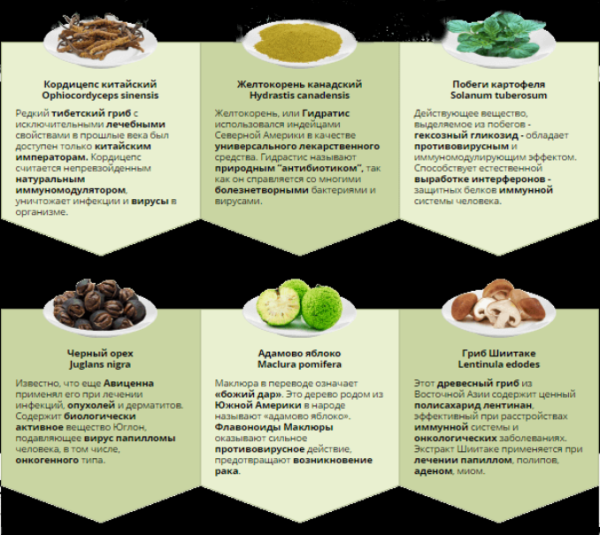 Народные средства от папиллом на интимных местах