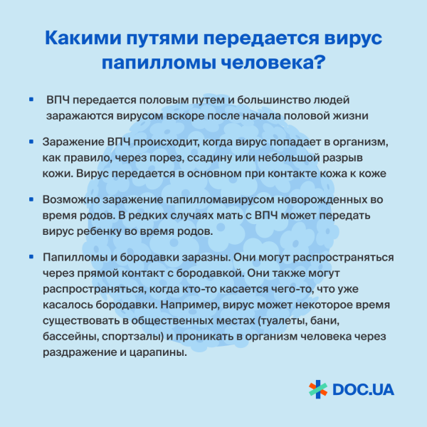 Опасность и лечение ВПЧ 6: принципы безопасного предотвращения