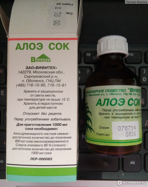 Сок алоэ от папиллом: особенности применения и противопоказания