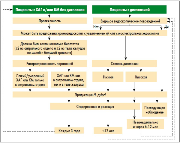 Атрофический гастрит: причины, симптомы, лечение