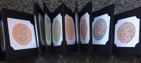 Дальтонизм: причины, симптомы, диагностика