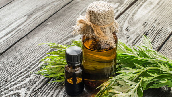 Масло полыни от папиллом: применение и отзывы