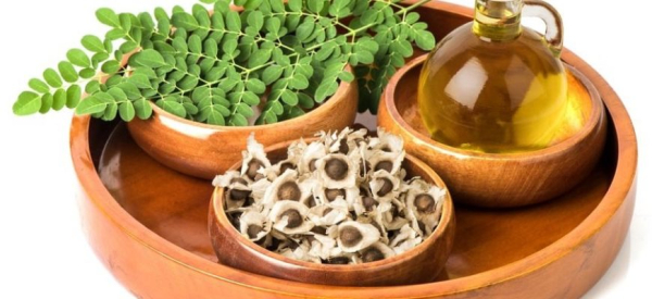 Моринга: полезные свойства и способы применения