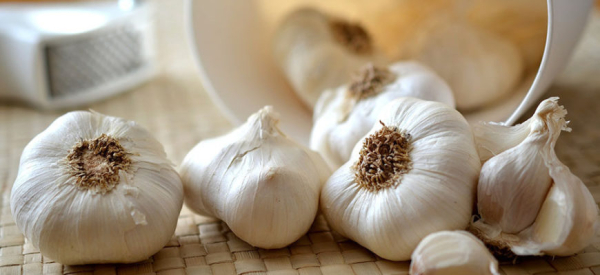 Вреден ли чеснок и в чем его польза для организма человека?