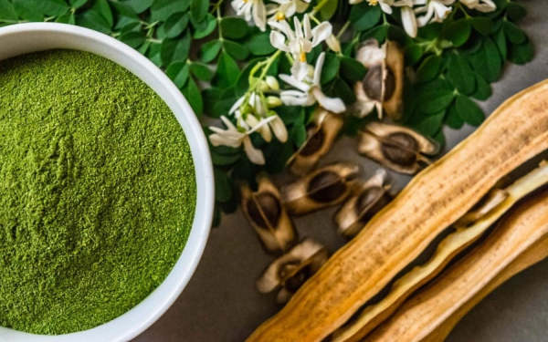 Моринга: полезные свойства и способы применения